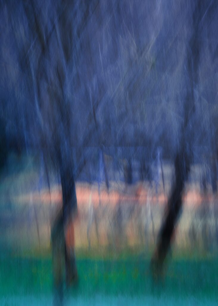 Arbres du parc Fenestre à la Bourboule en Intentional Camera Movement ICM