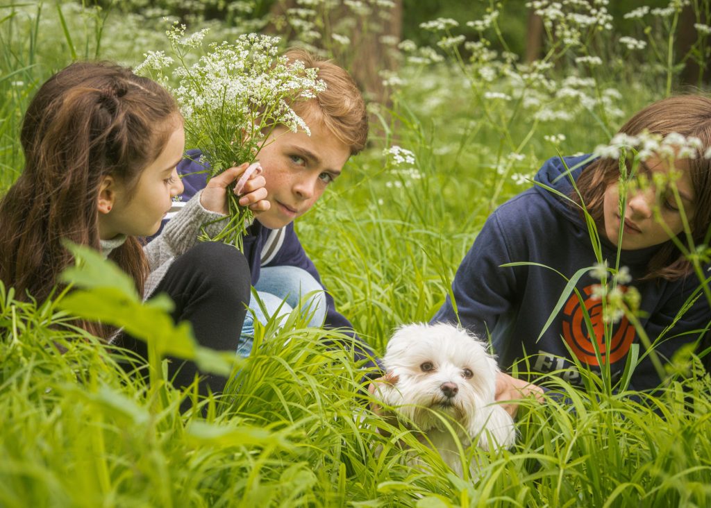 séance photo portrait en extérieur famille enfants chien groupe dans un parc fleuri nature verdure souvenir par femme photographe Céline Pivoine Eyes 