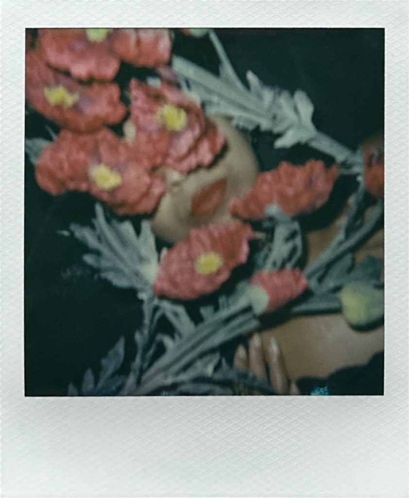 séance photo créative au polaroid avec Francine Demoulin modèle actrice portrait fleurs rouges bouche par Céline Pivoine Eyes femme photographe au studio photo location à Montreuil près de Fontenay sous bois