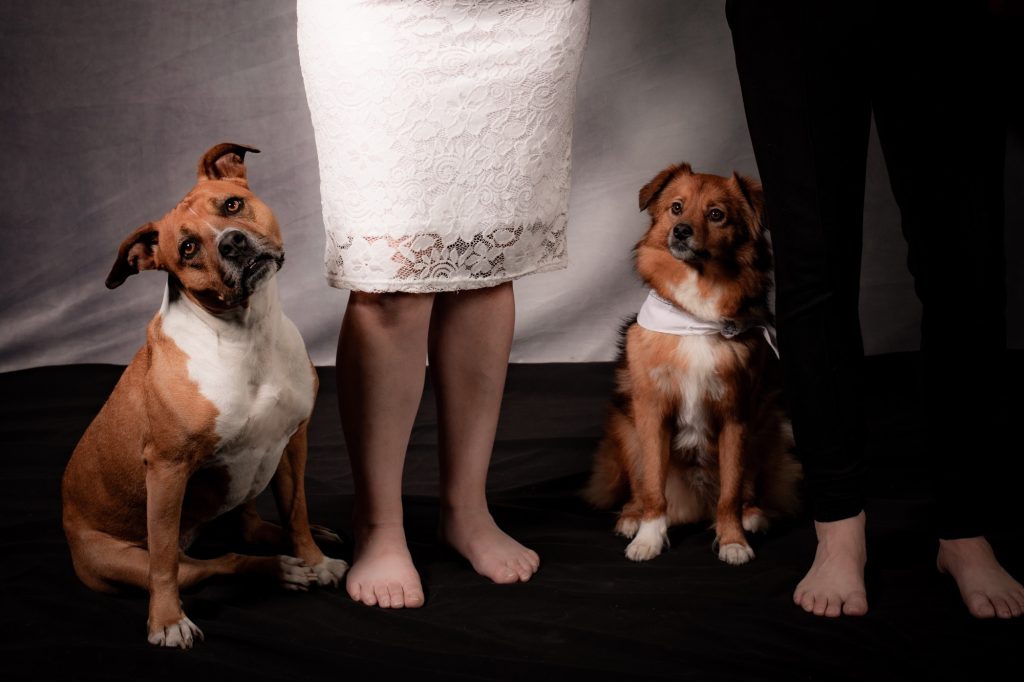 Séance photographe pour animal de compagnie avec Omi et Haruki deux chiens aux pieds de leurs maitres inspiration Elliot Erwitt sur un pouf bleu par céline pivoine eyes femme photographe au studio photo location à Montreuil 93 près de Nognet sur Marne