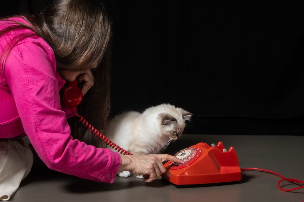 Séance photo shooting animal de compagnie avec Céline et Adibou chaton sacré de Birmanie au téléphone vintage orange à cadran par Céline Pivoine Eyes femme photographe au studio photo location à Montreuil 93 près de Nogent sur Marne