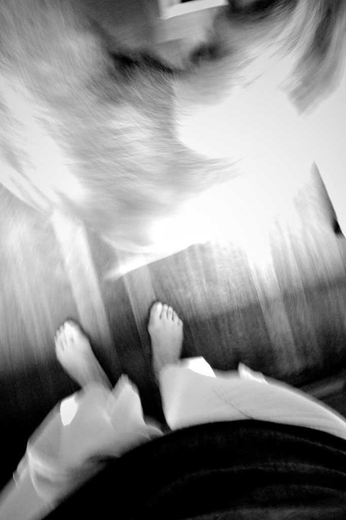 Ricoh GRiii une journée de test en trouble photography flou artistique noir et blanc pieds et chien Hoyo