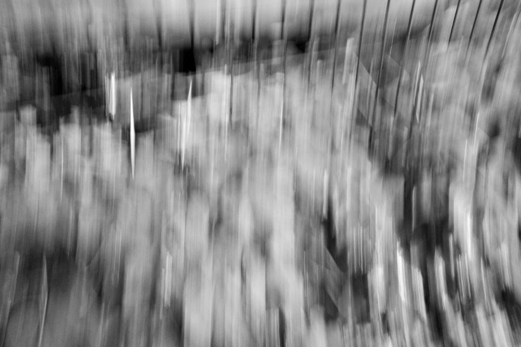 Ricoh GRiii une journée de test en trouble photography flou artistique icm arbre promenade bords de marne noir et blanc