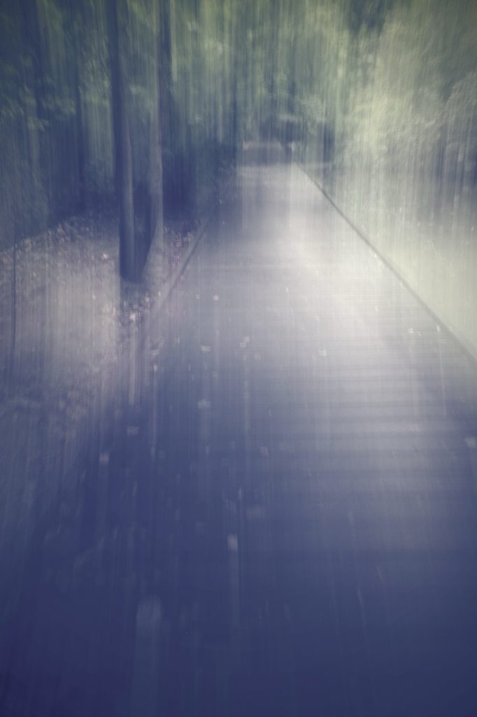 Ricoh GRiii une journée de test en trouble photography flou artistique icm chemin en bois des bords de Marne Maisons Alfort