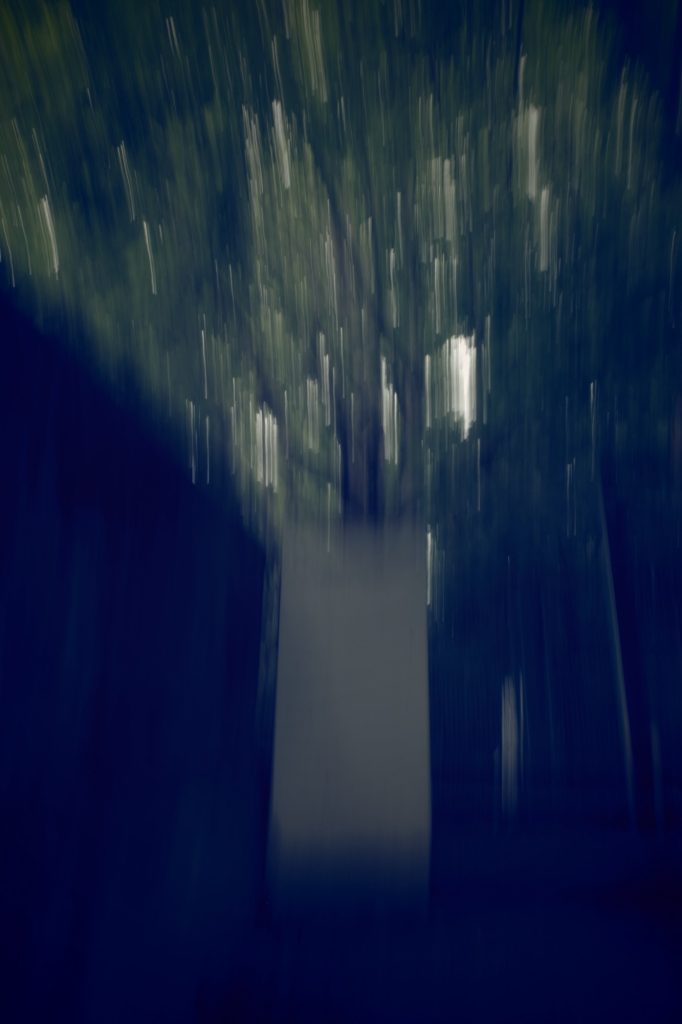 Ricoh GRiii une journée de test en trouble photography flou artistique icm arbre escalier promenade bords de marne et frigo