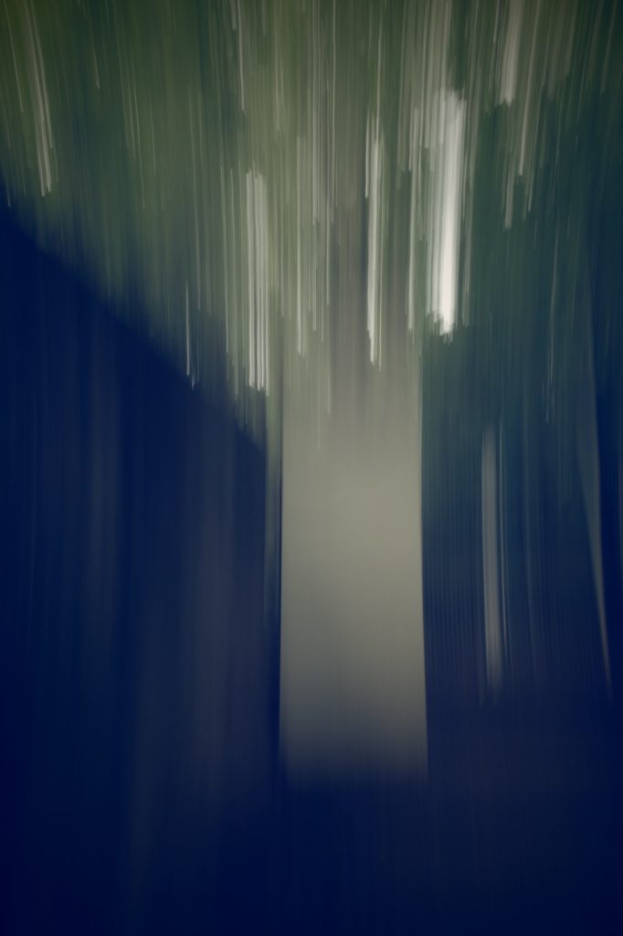 Ricoh GRiii une journée de test en trouble photography flou artistique icm arbre escalier promenade bords de marne et frigo