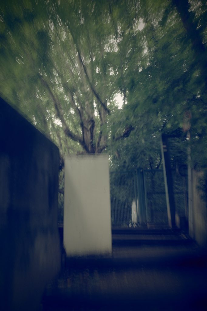 Ricoh GRiii une journée de test en trouble photography flou artistique icm arbre promenade bords de marne et frigo
