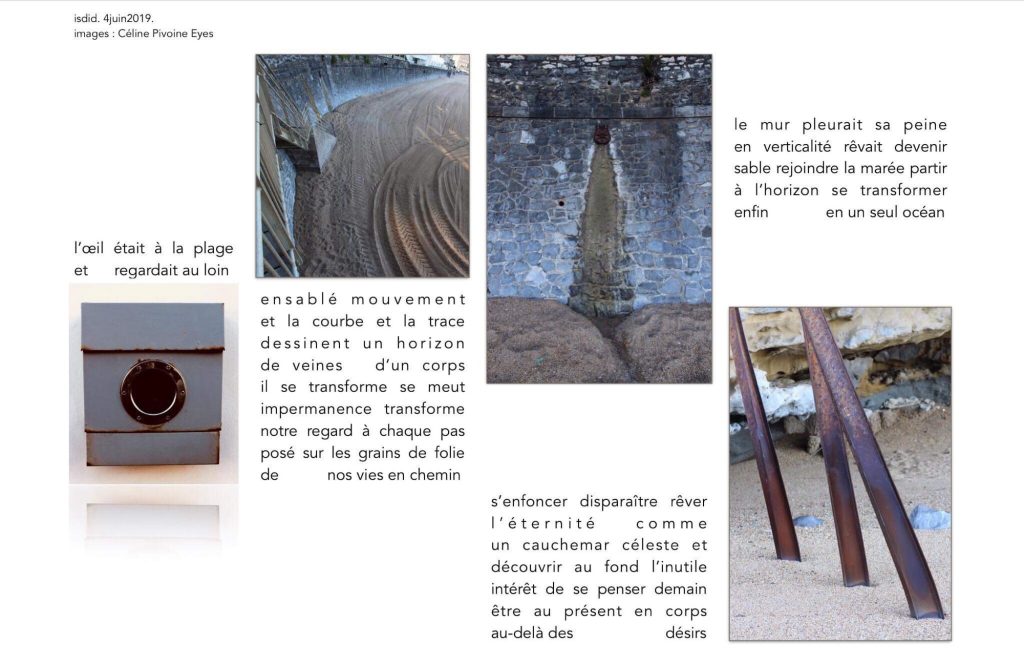 association des images de Céline Pivoine Eyes et des mots de Didier Charuel sur le thème des détails matières