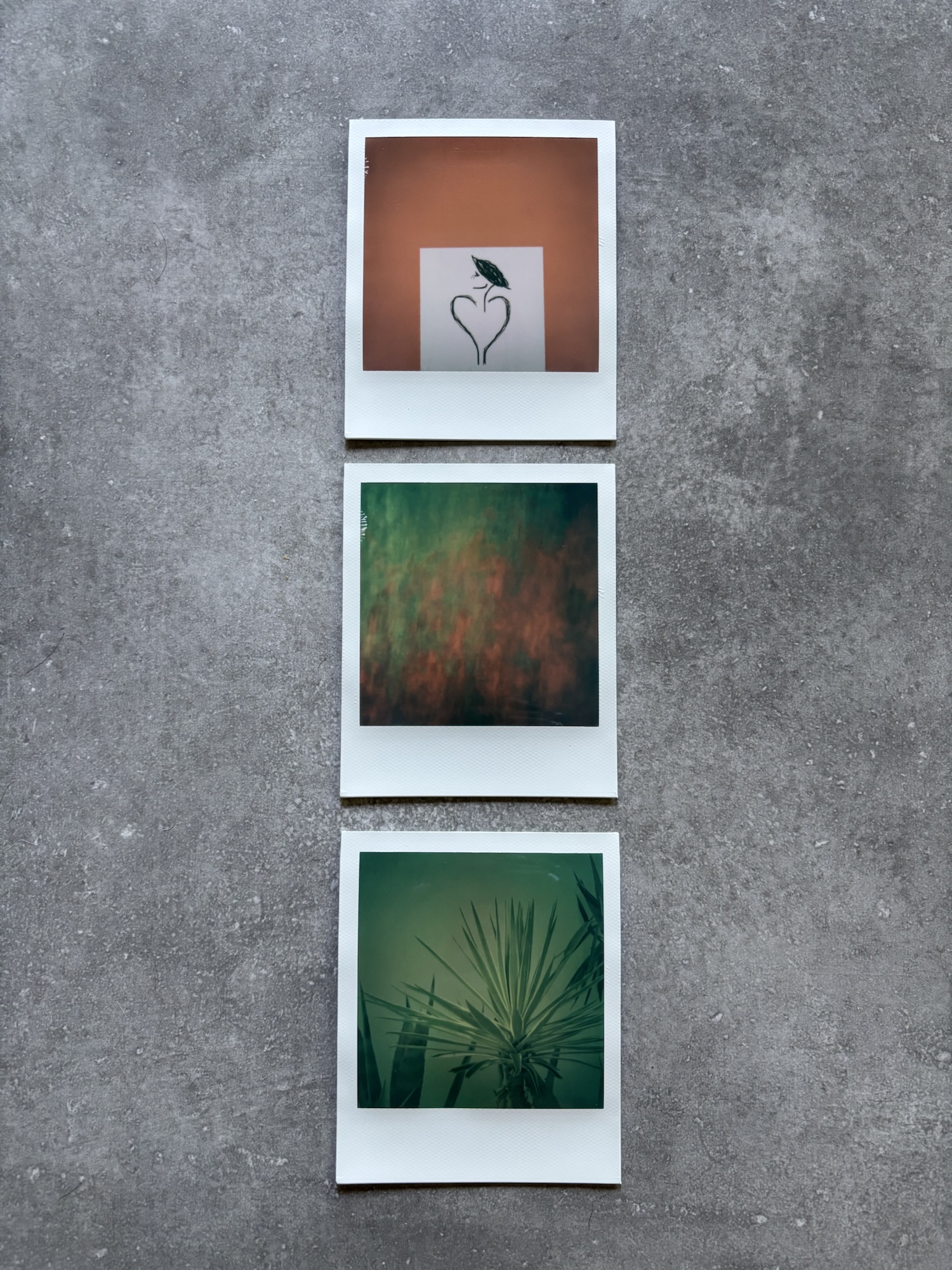 Elphaba — les polaroids