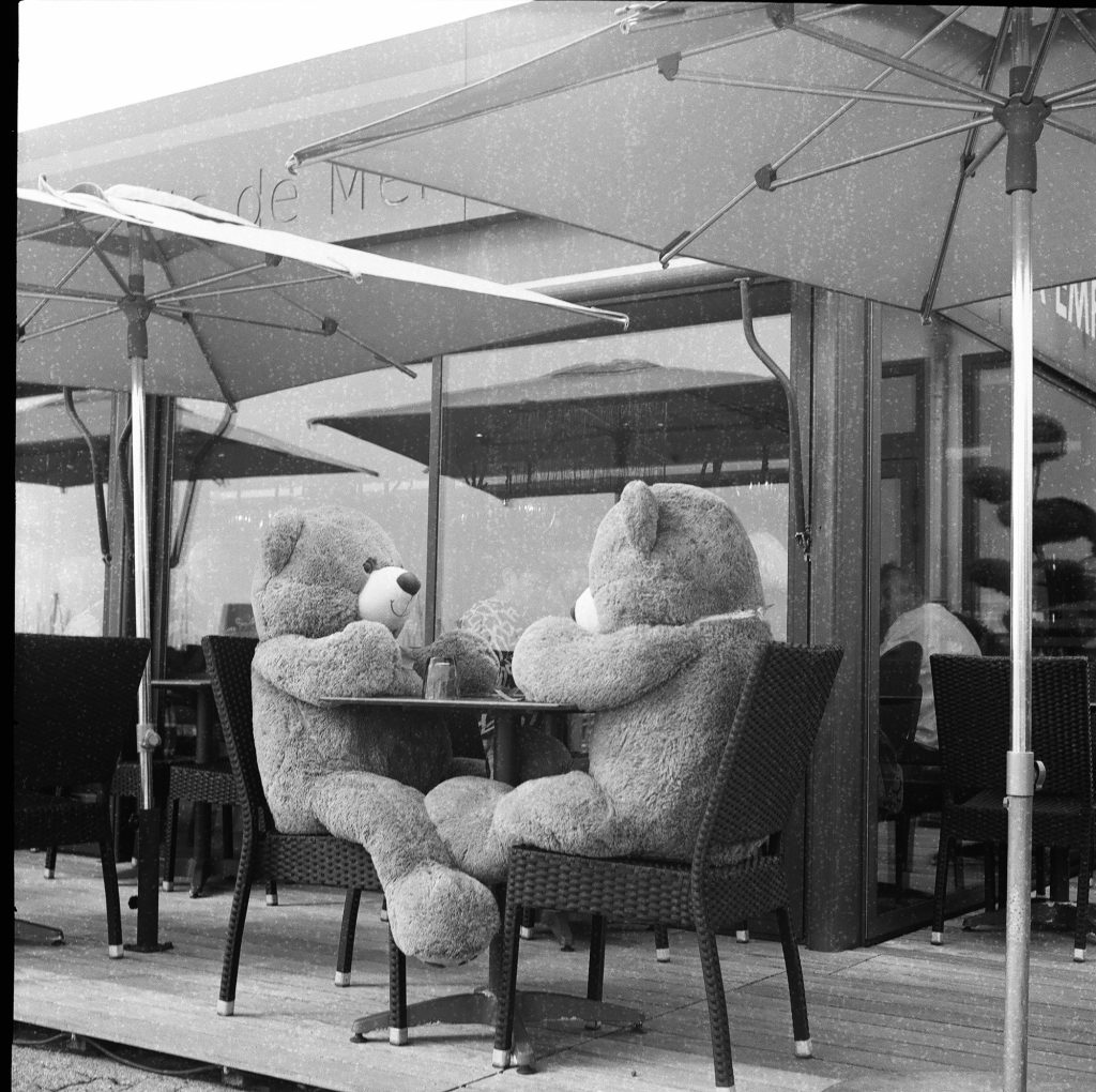 Flexaret II Meopta F005 appareil photo argentique ancien moyen format TLR film 120 6x6 collection avec objectifs Metax et obturateur Prontor-SVS (c. 1948) Granville normandie deux nounours en terrasse de restaurant streetphotography noir et blanc