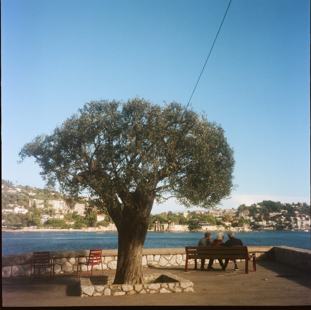 Flexaret VI Meopta F002 appareil photo argentique ancien moyen format TLR film 120 6x6 collection avec objectif Belar 80mm F3,5 et obturateur Metax (c. 1961-1966) vue de la baie de villefranche sur mer derrière un arbre un banc